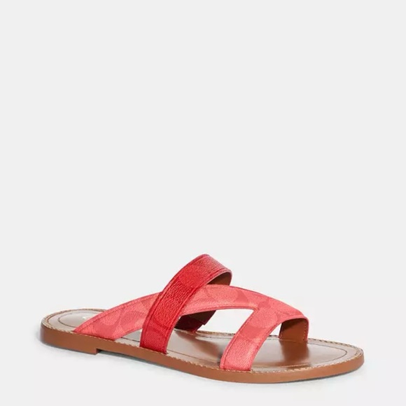 Coach sandal - Picture 9 of 11